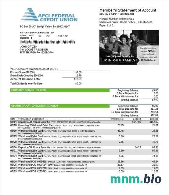 USAA Federal Savings Bank statement szablon Worda i PDF, version 2